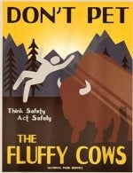Don't Pet The Fluffy Cows.jpg