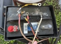 IMG_1995.jpeg